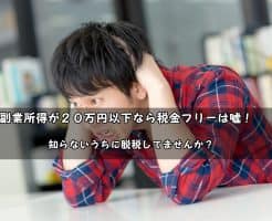 副業所得２０万円以下