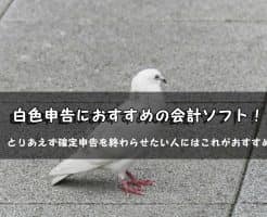 白色申告おすすめ会計ソフト